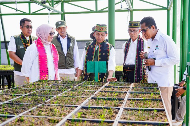 Menhut Tinjau Persemaian Labuan Bajo: Penghijauan Tingkatkan Kesejahteraan Masyarakat 39